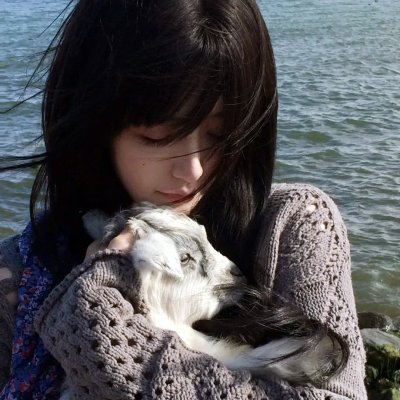 蝴蝶振翅之后